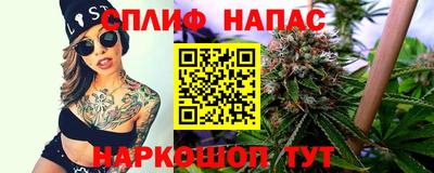 прущие крисы Ставрополь