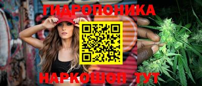 прущие крисы Ставрополь