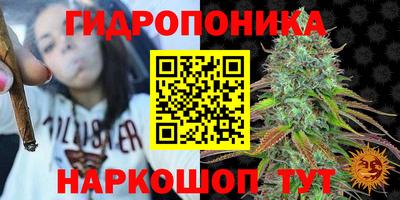 тгк Тара