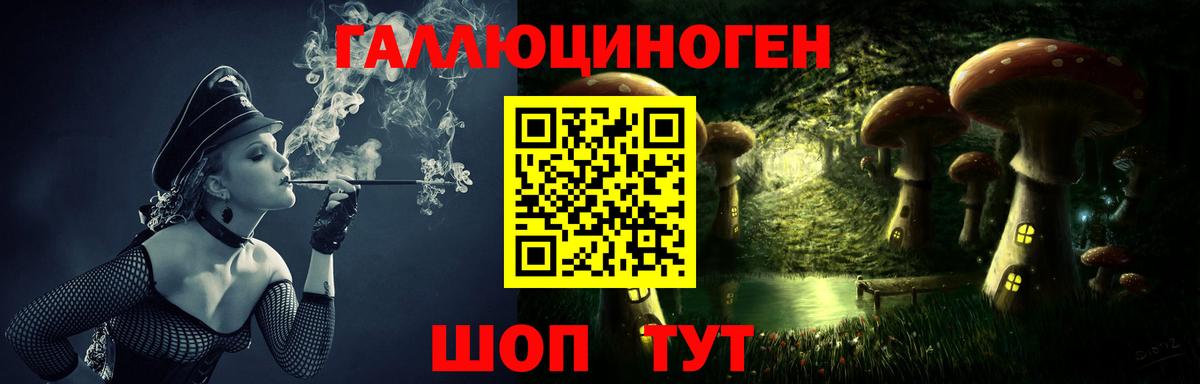 Муравленко  Псилоцибиновые грибы Cubensis  Вход с VPN 